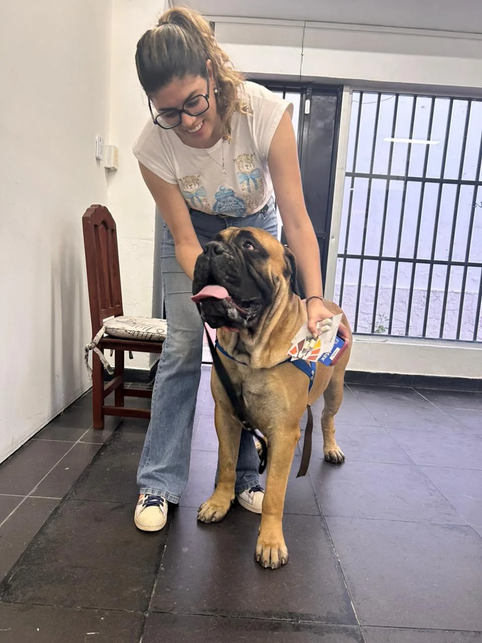 Equipo veterinario en revisión clínica